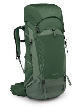 Picture of TALON™ 44 CANOPY PINE LEAF